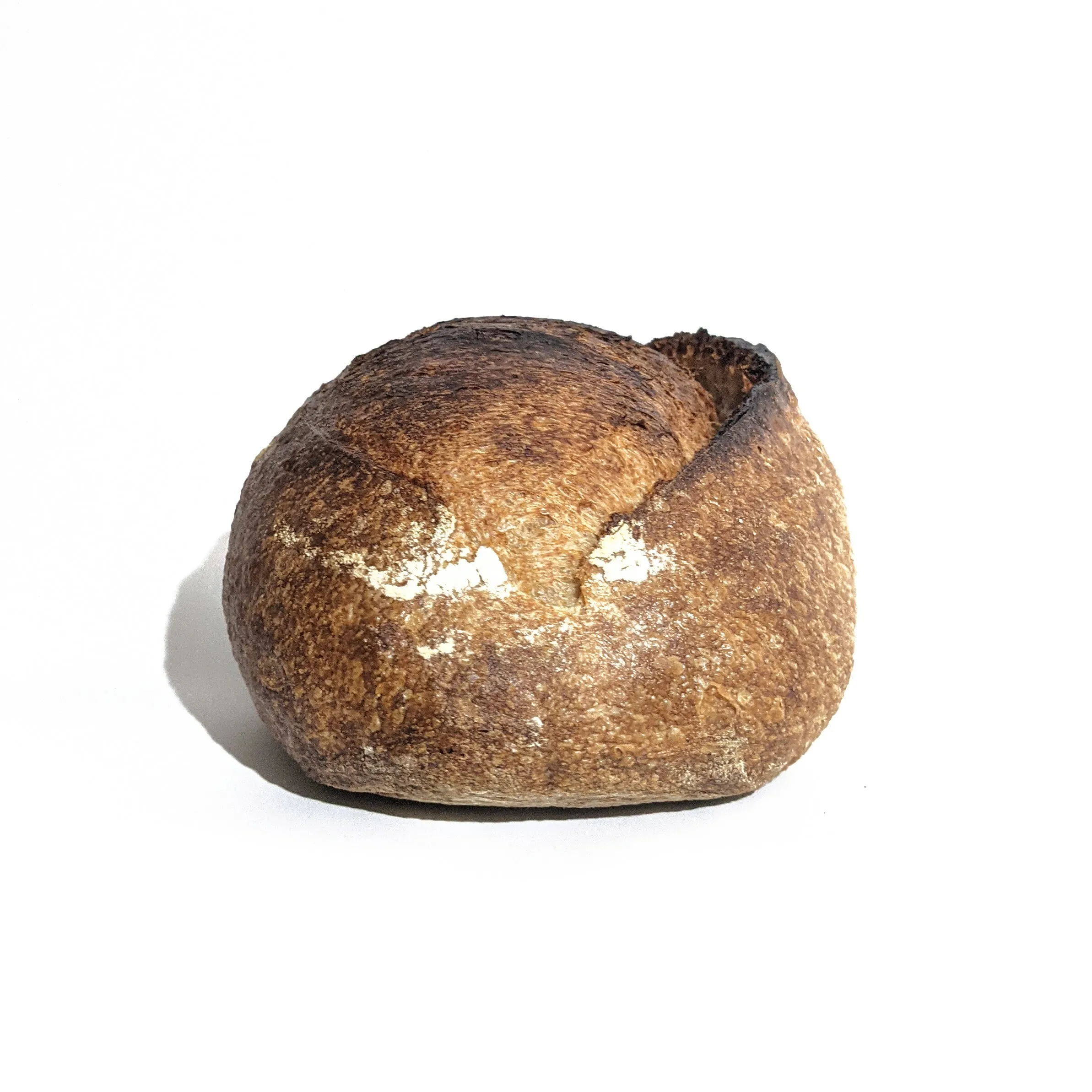 PXL_20210506_072703567.jpg