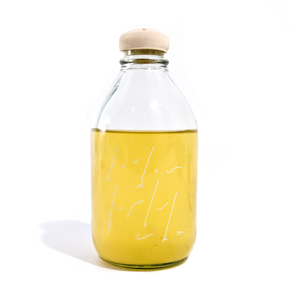 chrysanthemum honey.jpg